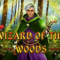 Game Wizard of the Woods online Maglaro Wizard of the Woods