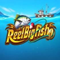 Laro Reel Big Fish Reel Big Fish