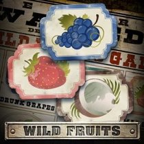 Laro Wild Fruits Wild Fruits