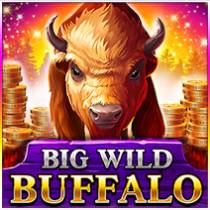 Game Big Wild Buffalo online Maglaro Big Wild Buffalo